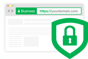 STEP 1 – What is an SSL Certificate anyway?
